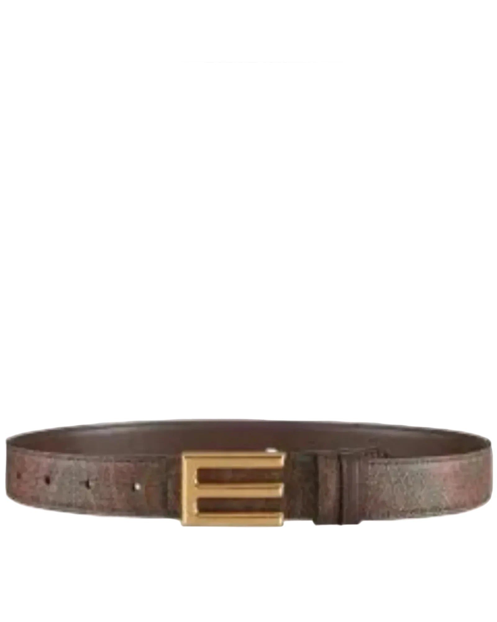 ETRO Taupe Leather Belt - Front View
